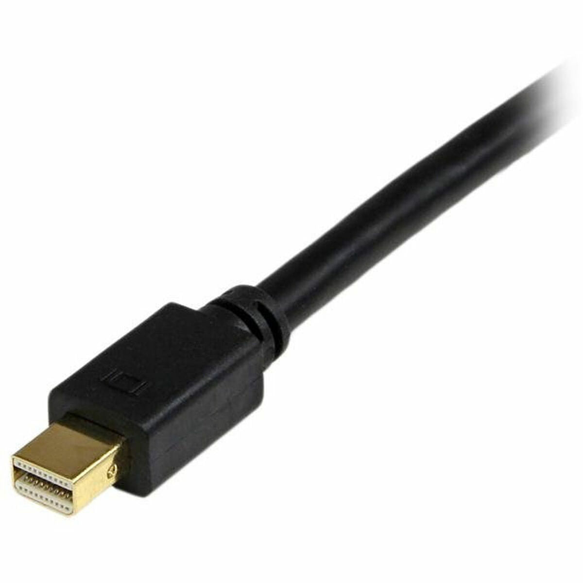 Adapter Mini DisplayPort an DVI Startech MDP2DVIMM6B          (1,8 m) Schwarz 1.8 m