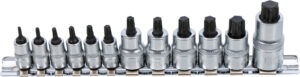 BGS 5098 Bit-Einsatz-Satz | extra kurz | T-Profil (für Torx) T8 - T60 | 12-tlg.