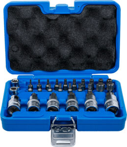 BGS 5101 Bit- und Bit-Einsatz-Satz | 12,5 mm (1/2") | T-Profil (für Torx) | 27-tlg.