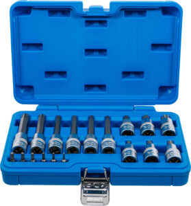 BGS 5173 Bit-Einsatz-Satz | Antrieb Innenvierkant 6,3 mm (1/4") / 12,5 mm (1/2") | T-Profil (für Torx) | 18-tlg.
