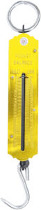 BGS 8034 Taschenfederwaage | bis 50 kg